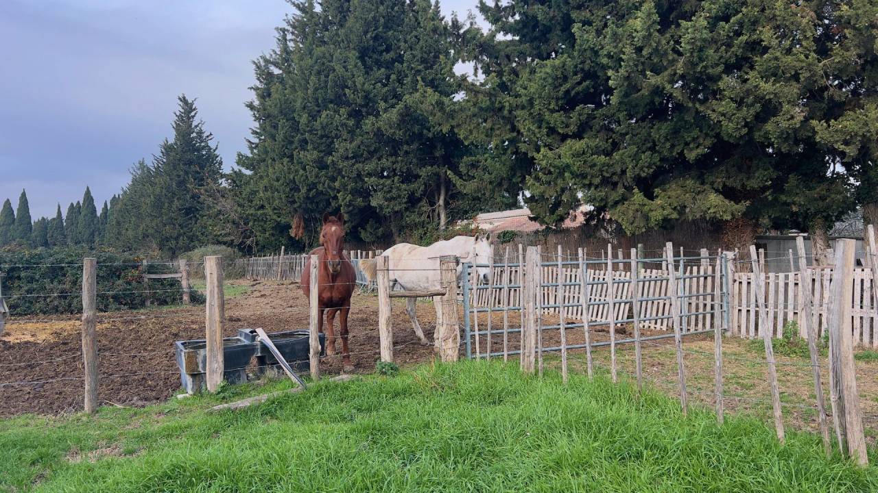 Hippisch vastgoed Koop Bouches-du-Rh&ocirc;ne