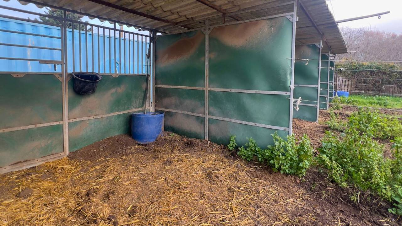 Hippisch vastgoed Koop Bouches-du-Rh&ocirc;ne