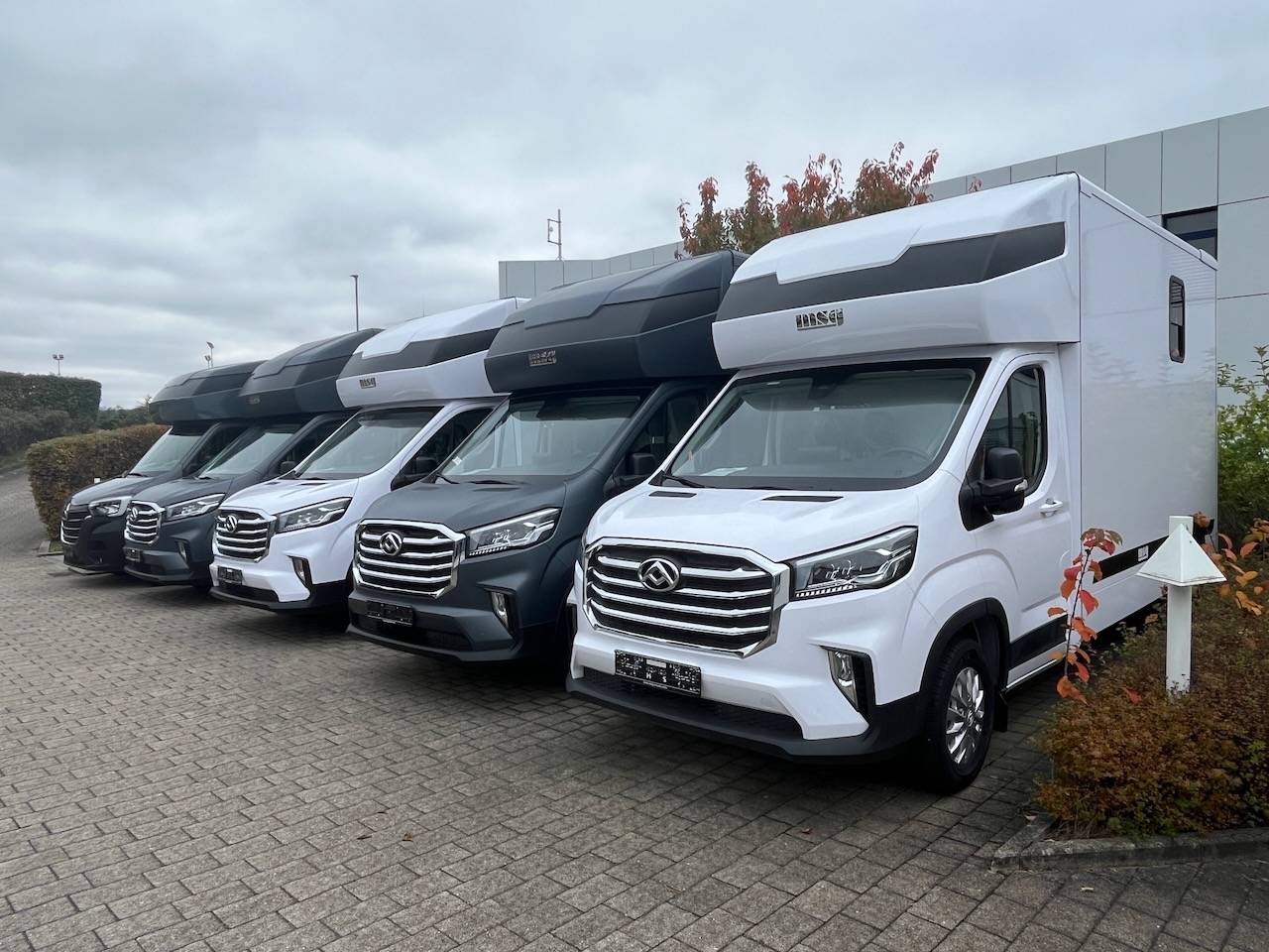 Kleine paardenvrachtwagen (B rijbewijs) Autre marque MAXUS 0 Nieuw