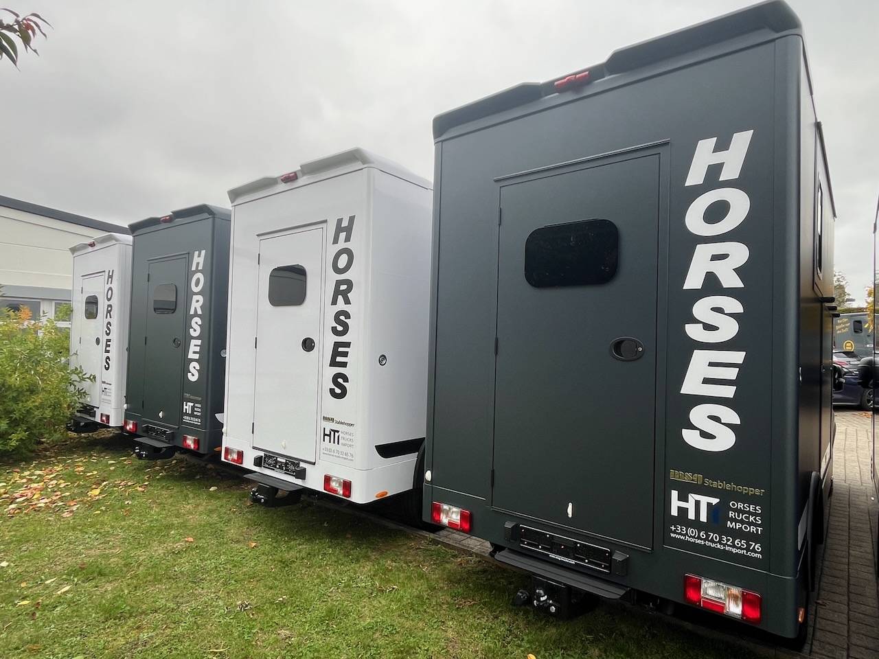 Kleine paardenvrachtwagen (B rijbewijs) Autre marque MAXUS 0 Nieuw