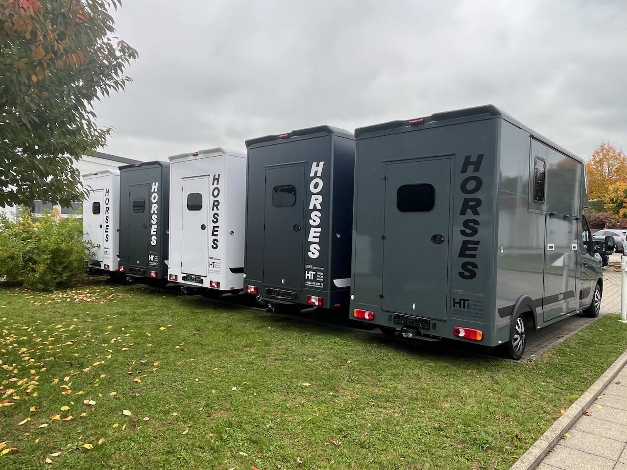 Kleine paardenvrachtwagen (B rijbewijs) Autre marque MAXUS 0 Nieuw