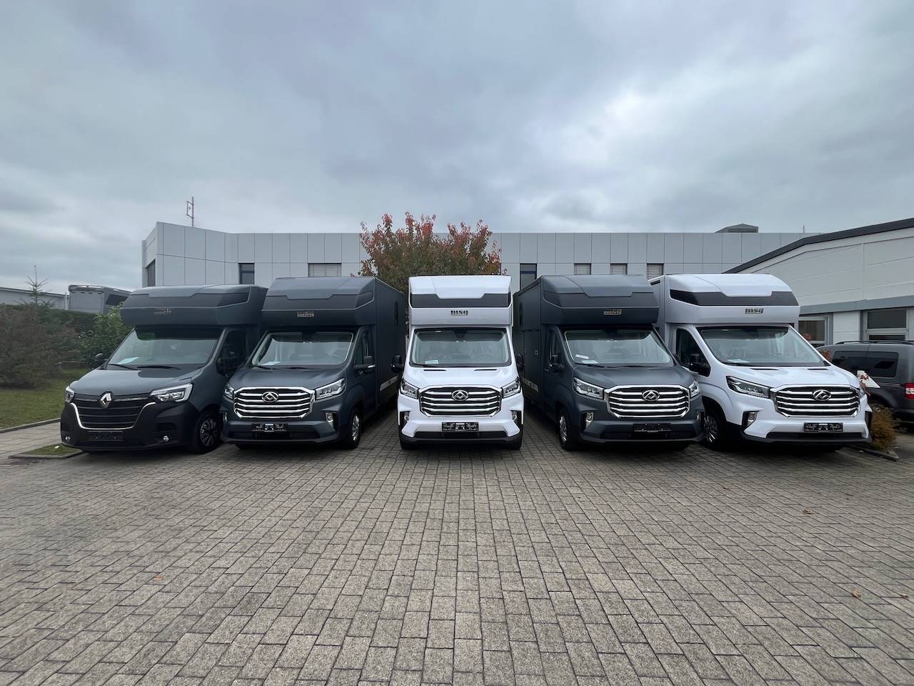 Kleine paardenvrachtwagen (B rijbewijs) Autre marque MAXUS 0 Nieuw