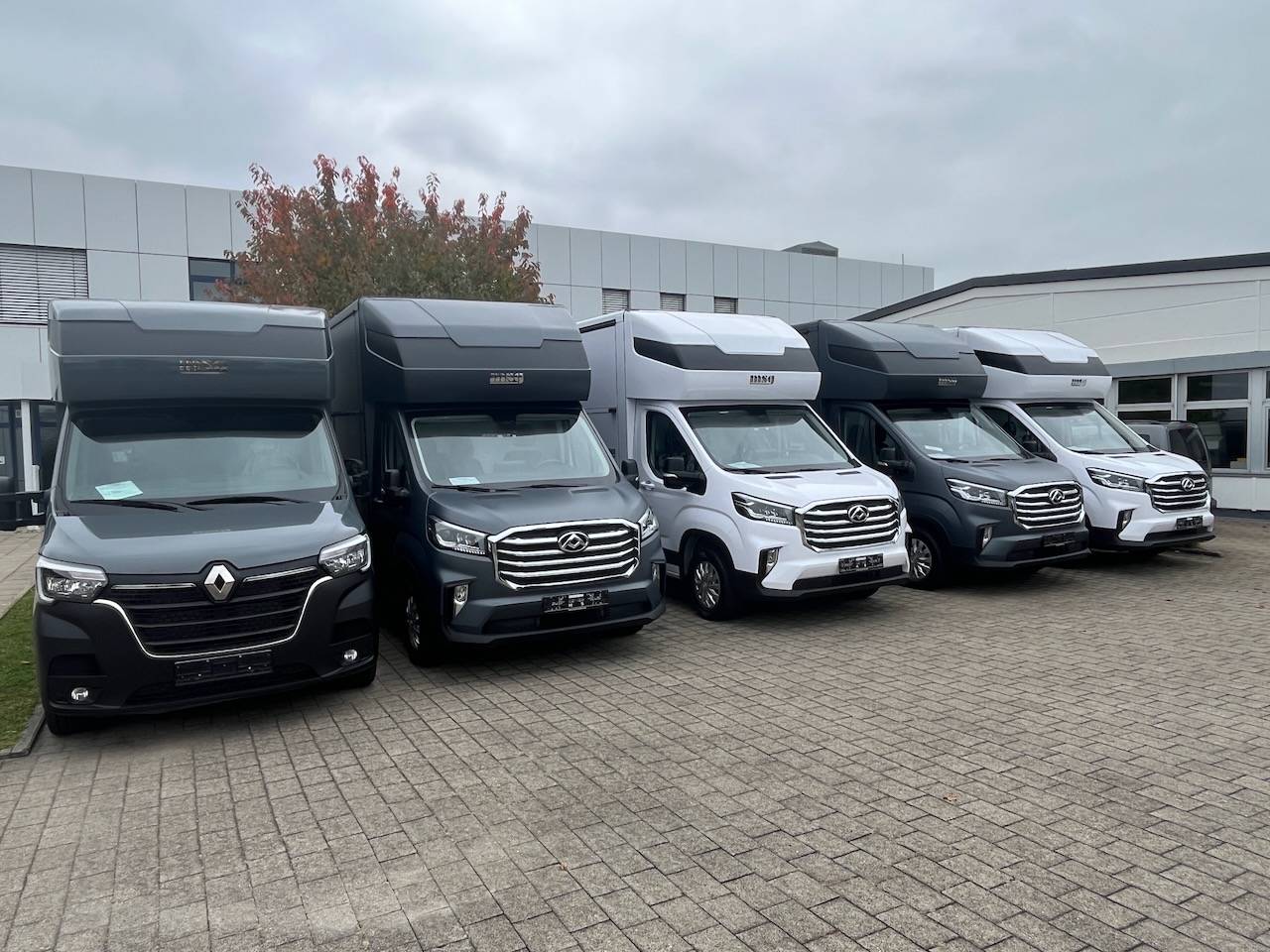 Kleine paardenvrachtwagen (B rijbewijs) Autre marque MAXUS 0 Nieuw