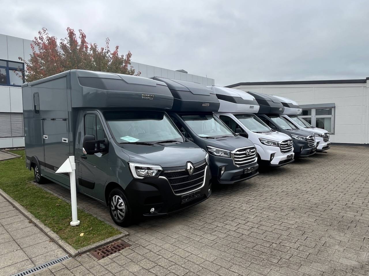 Kleine paardenvrachtwagen (B rijbewijs) Autre marque MAXUS 0 Nieuw