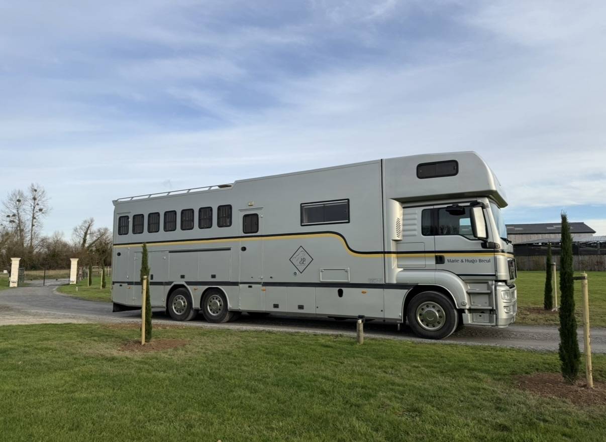 Zware paardenvrachtwagen (groot rijbewijs) Man 400 chx double essieu  2010 Tweedehands