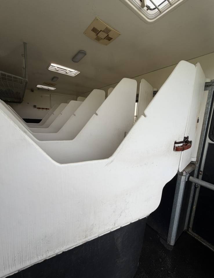 Zware paardenvrachtwagen (groot rijbewijs) Man 400 chx double essieu  2010 Tweedehands