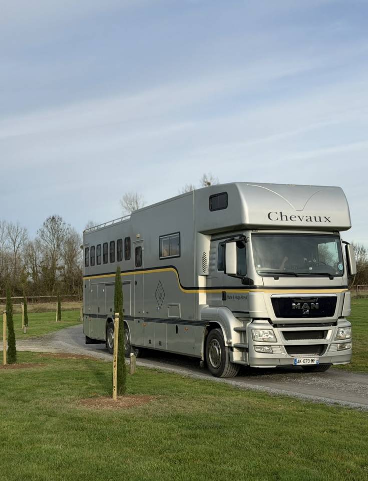 Zware paardenvrachtwagen (groot rijbewijs) Man 400 chx double essieu  2010 Tweedehands