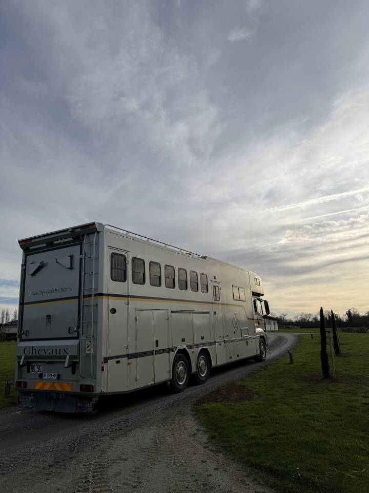 Zware paardenvrachtwagen (groot rijbewijs) Man 400 chx double essieu  2010 Tweedehands