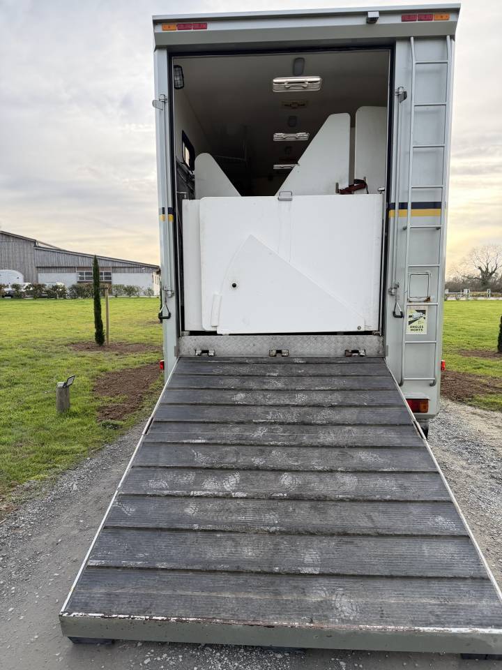 Zware paardenvrachtwagen (groot rijbewijs) Man 400 chx double essieu  2010 Tweedehands