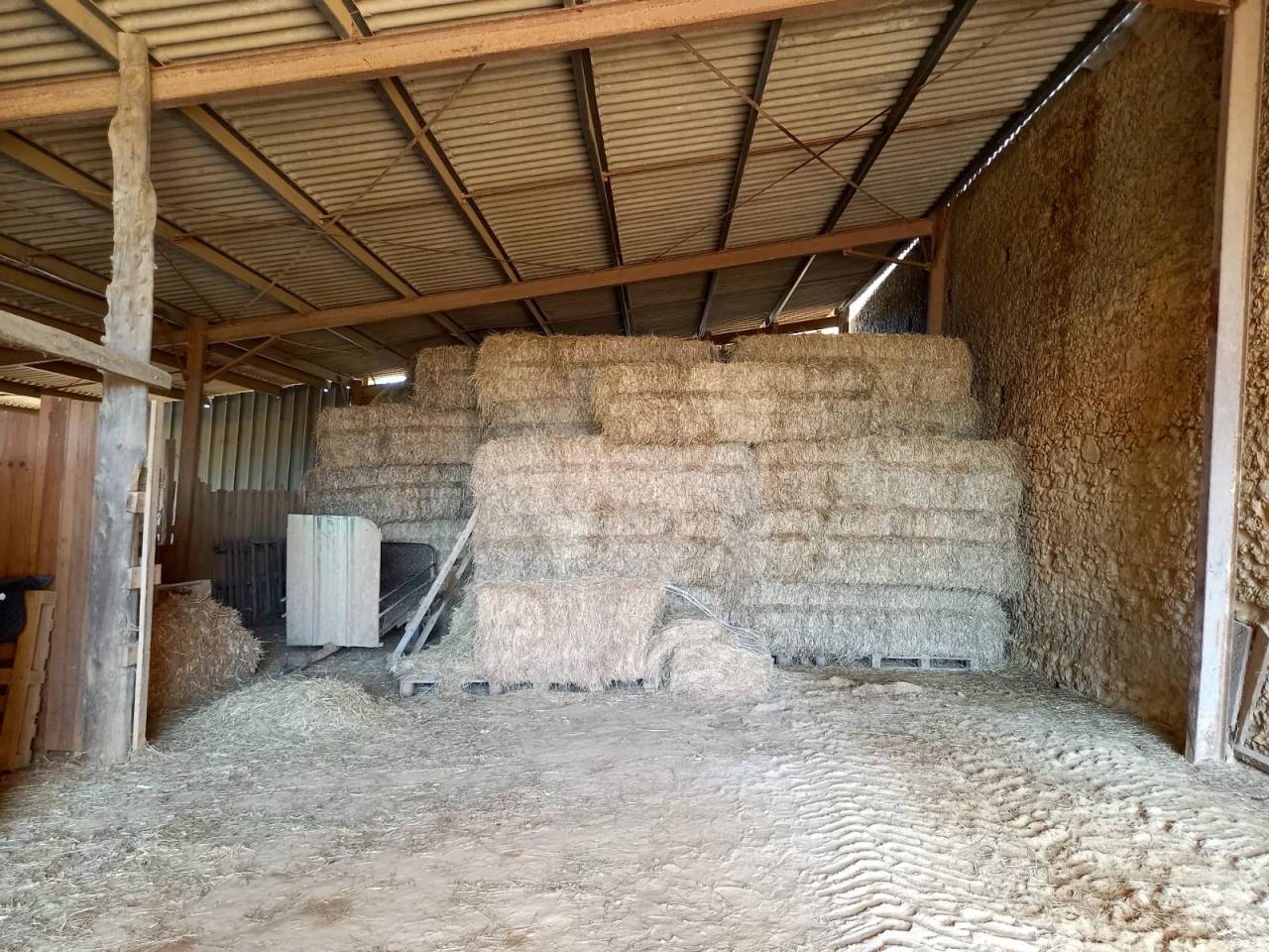 Hippisch vastgoed Koop Gers