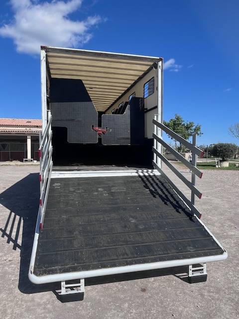 Zware paardenvrachtwagen (groot rijbewijs) Renault  2013 Tweedehands