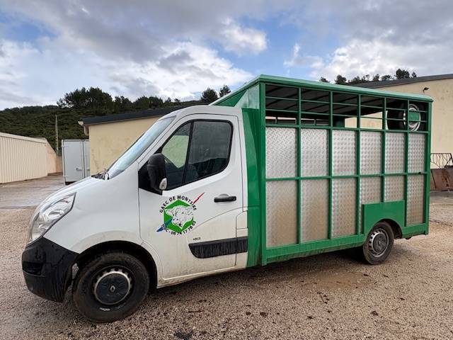 Kleine paardenvrachtwagen (B rijbewijs) Renault  2012 Tweedehands