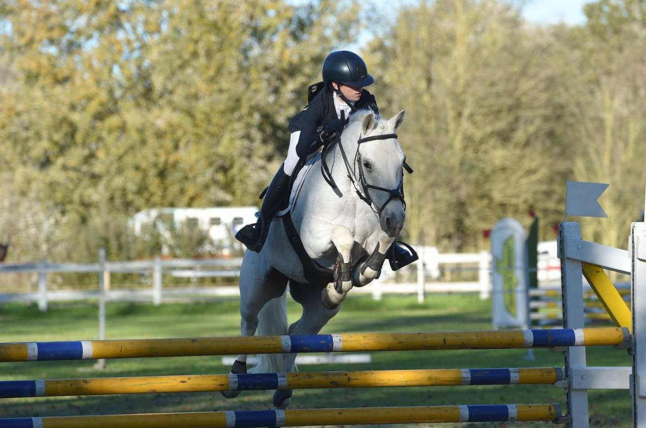 Ruin Connemara Te koop 2008 Schimmel ,  Eloy IV