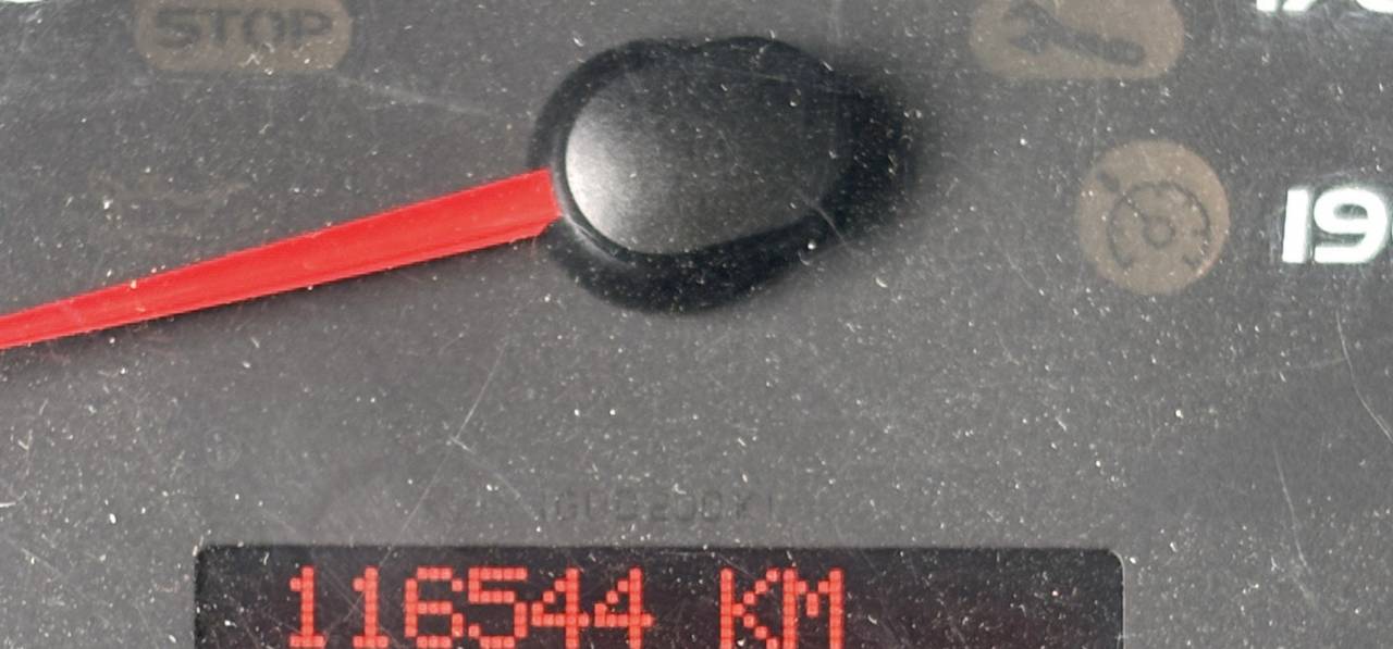 Kleine paardenvrachtwagen (B rijbewijs) Theault Proteo 2015 Tweedehands