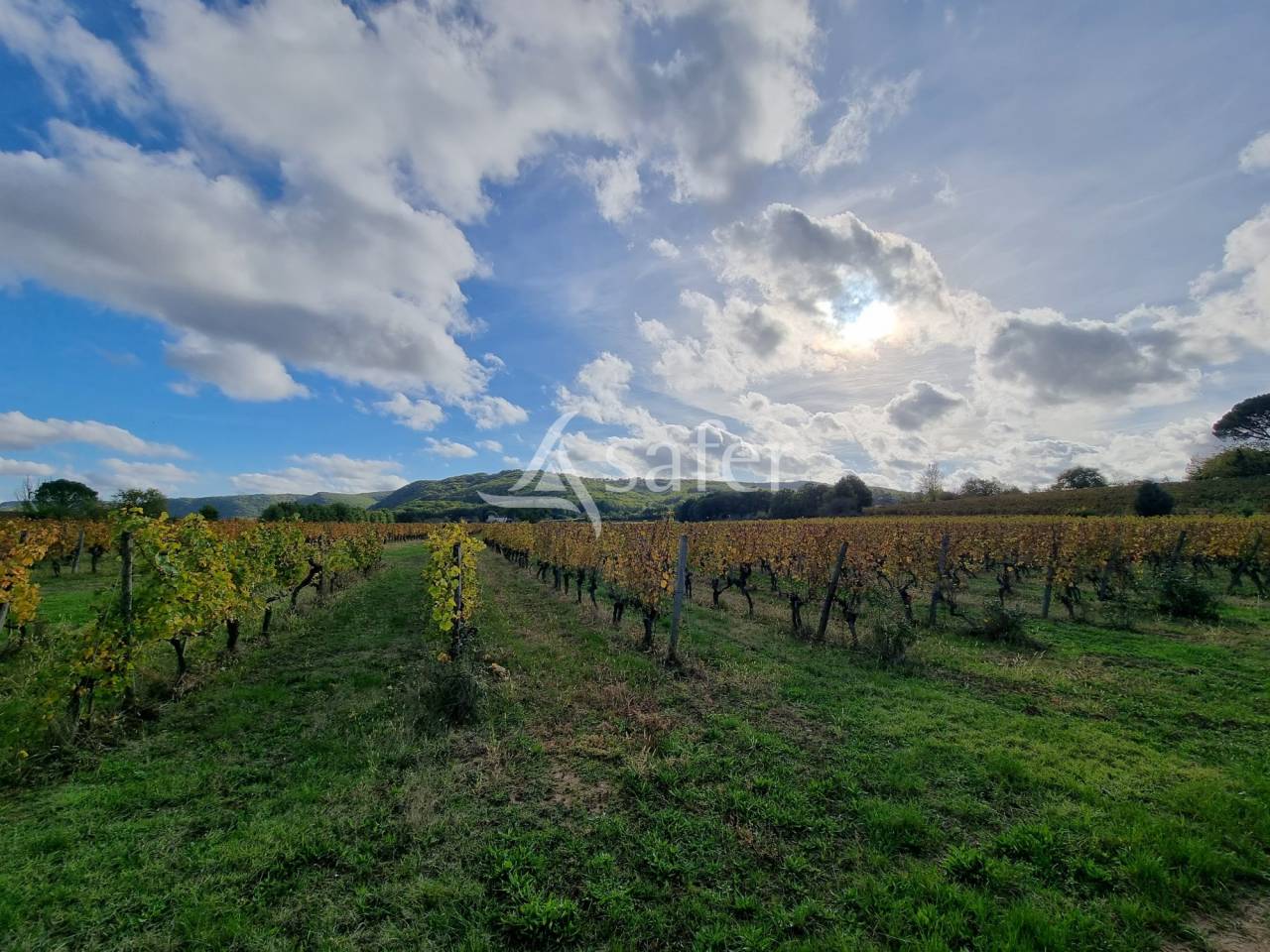 Landbouw bedrijf Koop Lot
