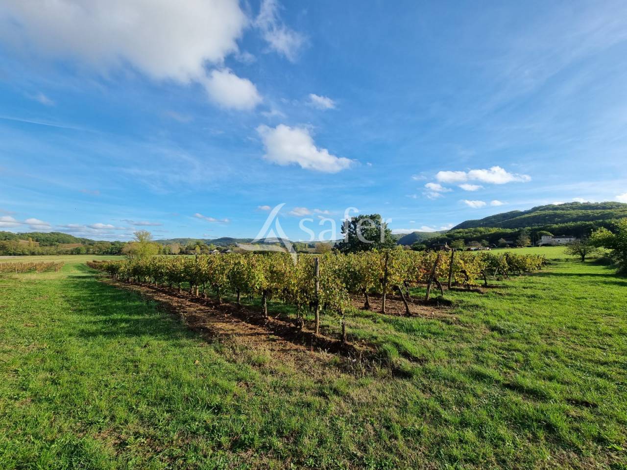 Landbouw bedrijf Koop Lot