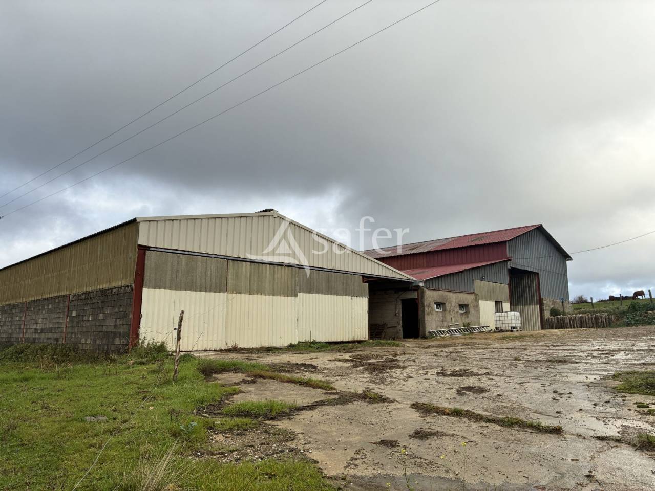 Landbouw bedrijf Koop Haute-Sa&ocirc;ne