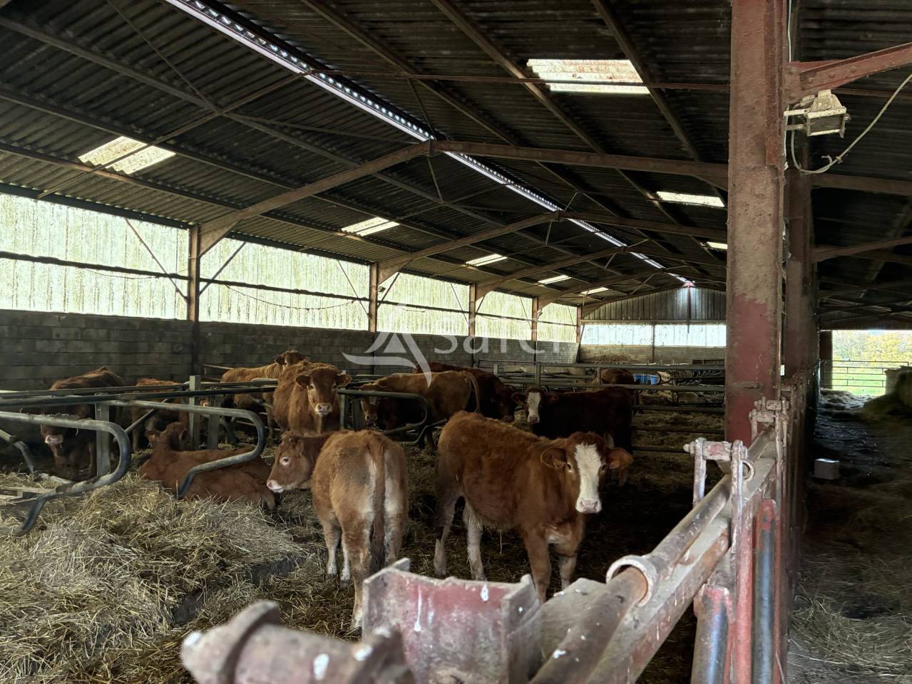 Landbouw bedrijf Koop Haute-Sa&ocirc;ne