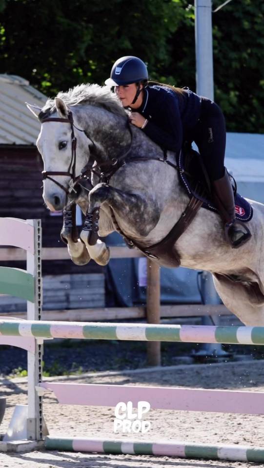 Ruin Zangersheide Te koop 2021 Schimmel ,  Charthago blue