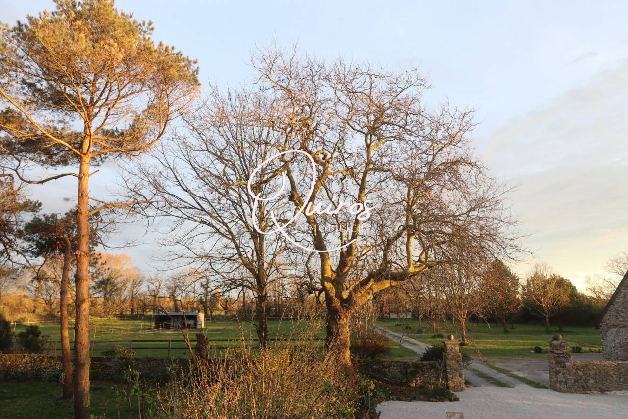 Hippisch vastgoed Koop Manche