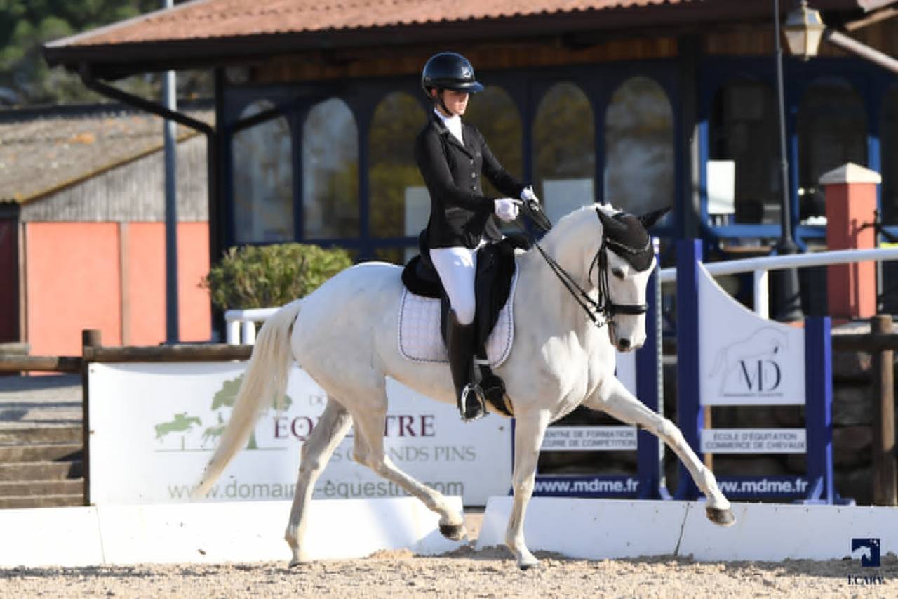 Merrie Lusitano Te koop 2014 Wit