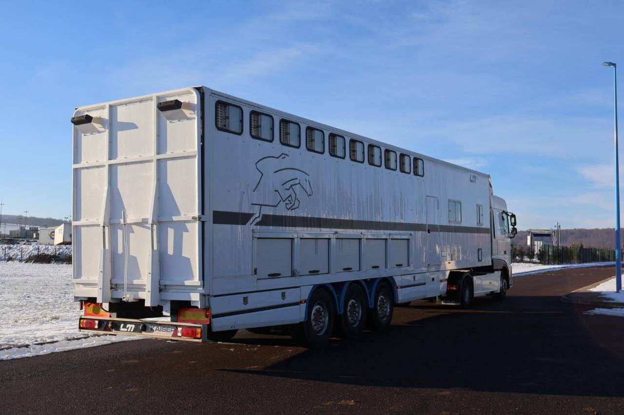 Zware paardenvrachtwagen (groot rijbewijs) Daf SEMI-REMORQUE 10P-APPARTEMENT 4P 2017 Tweedehands