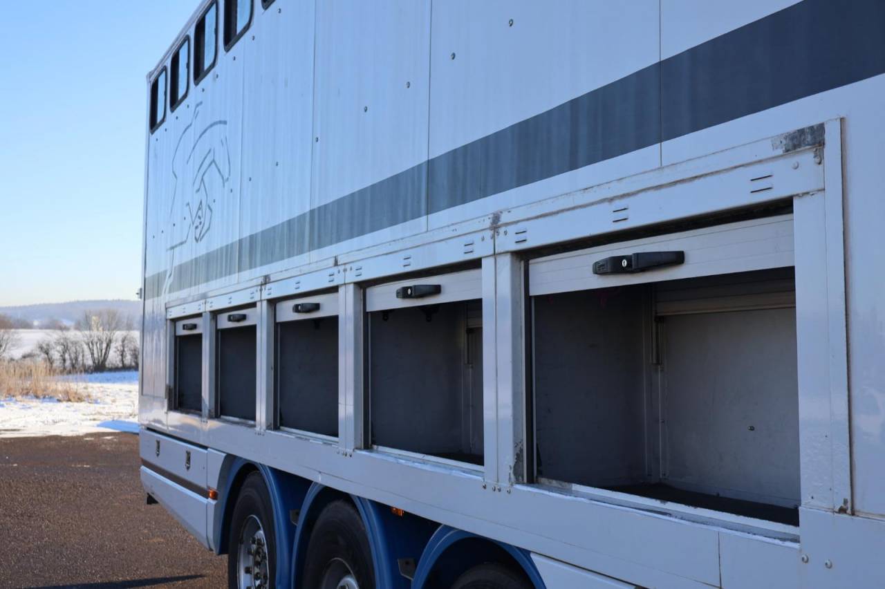 Zware paardenvrachtwagen (groot rijbewijs) Daf SEMI-REMORQUE 10P-APPARTEMENT 4P 2017 Tweedehands