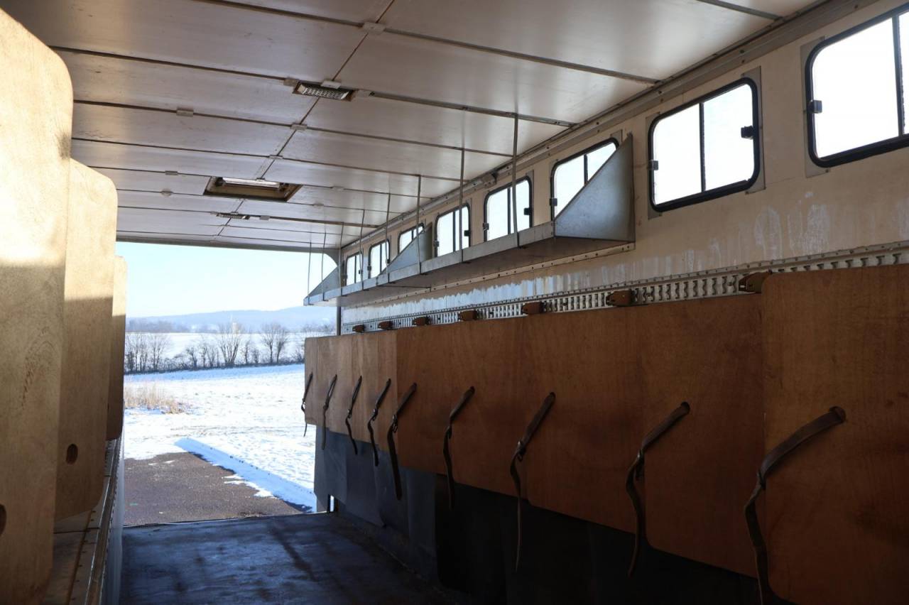 Zware paardenvrachtwagen (groot rijbewijs) Daf SEMI-REMORQUE 10P-APPARTEMENT 4P 2017 Tweedehands