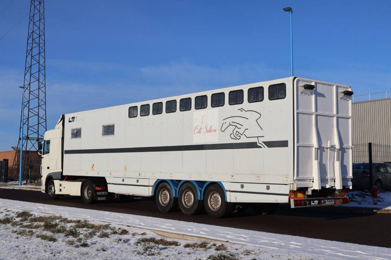 Zware paardenvrachtwagen (groot rijbewijs) Daf SEMI-REMORQUE 10P-APPARTEMENT 4P 2017 Tweedehands