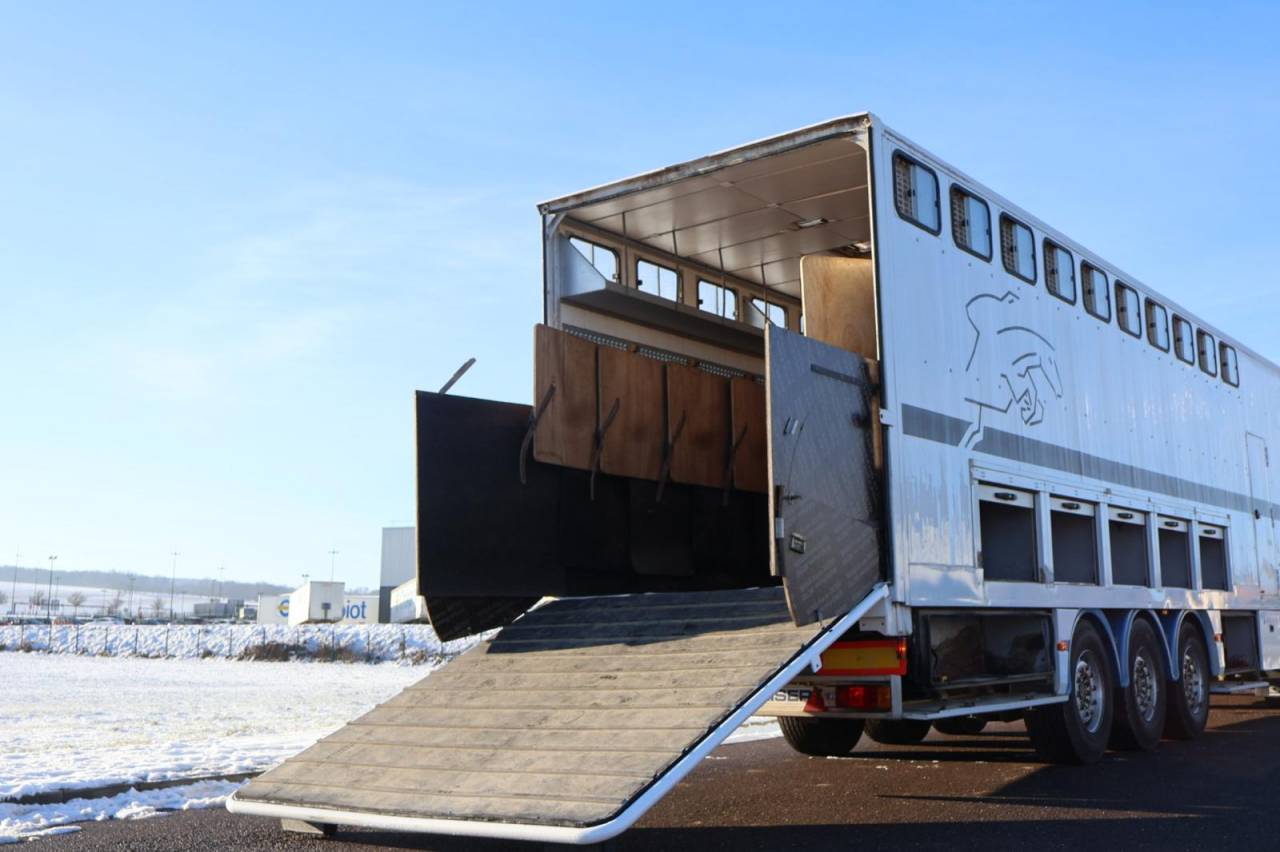 Zware paardenvrachtwagen (groot rijbewijs) Daf SEMI-REMORQUE 10P-APPARTEMENT 4P 2017 Tweedehands