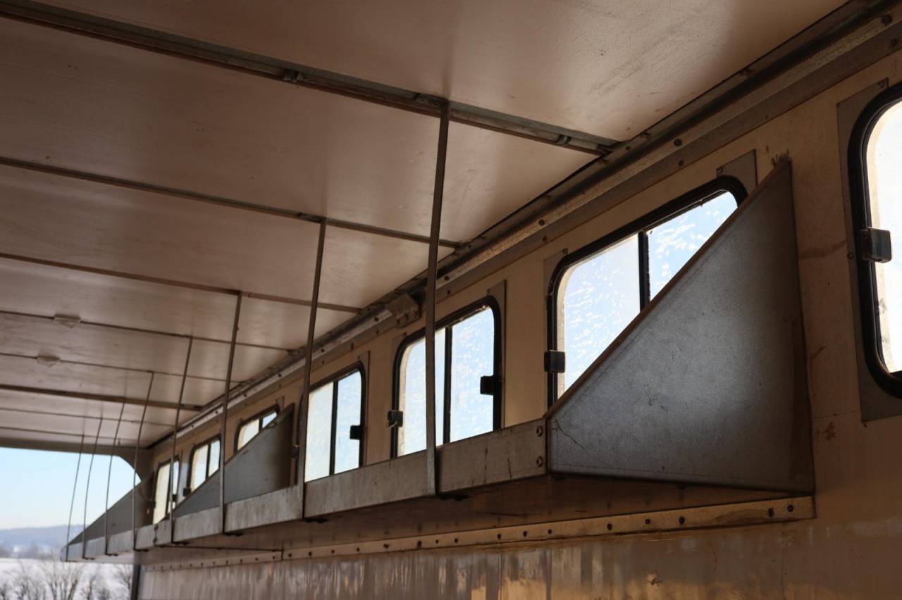 Zware paardenvrachtwagen (groot rijbewijs) Daf SEMI-REMORQUE 10P-APPARTEMENT 4P 2017 Tweedehands