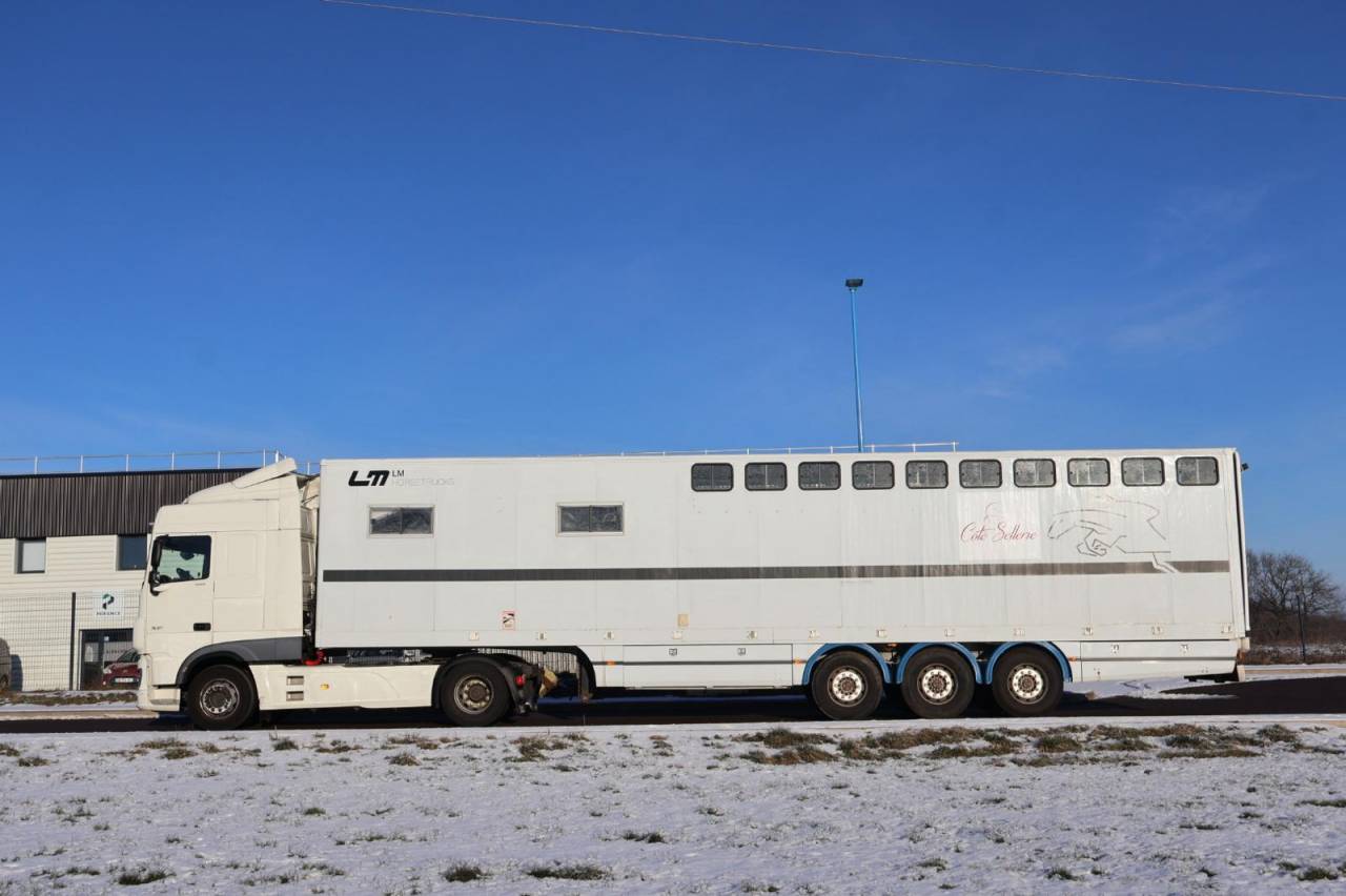 Zware paardenvrachtwagen (groot rijbewijs) Daf SEMI-REMORQUE 10P-APPARTEMENT 4P 2017 Tweedehands