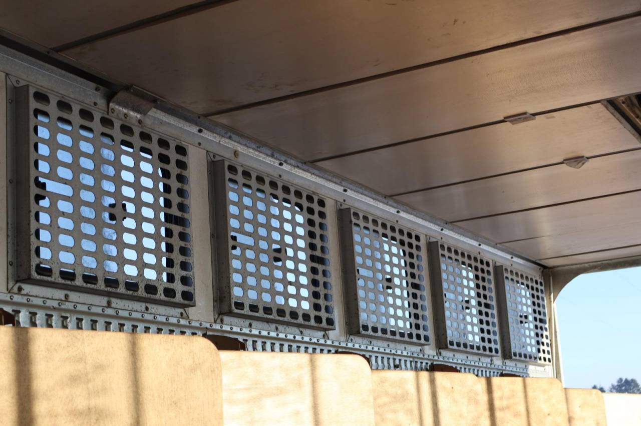 Zware paardenvrachtwagen (groot rijbewijs) Daf SEMI-REMORQUE 10P-APPARTEMENT 4P 2017 Tweedehands