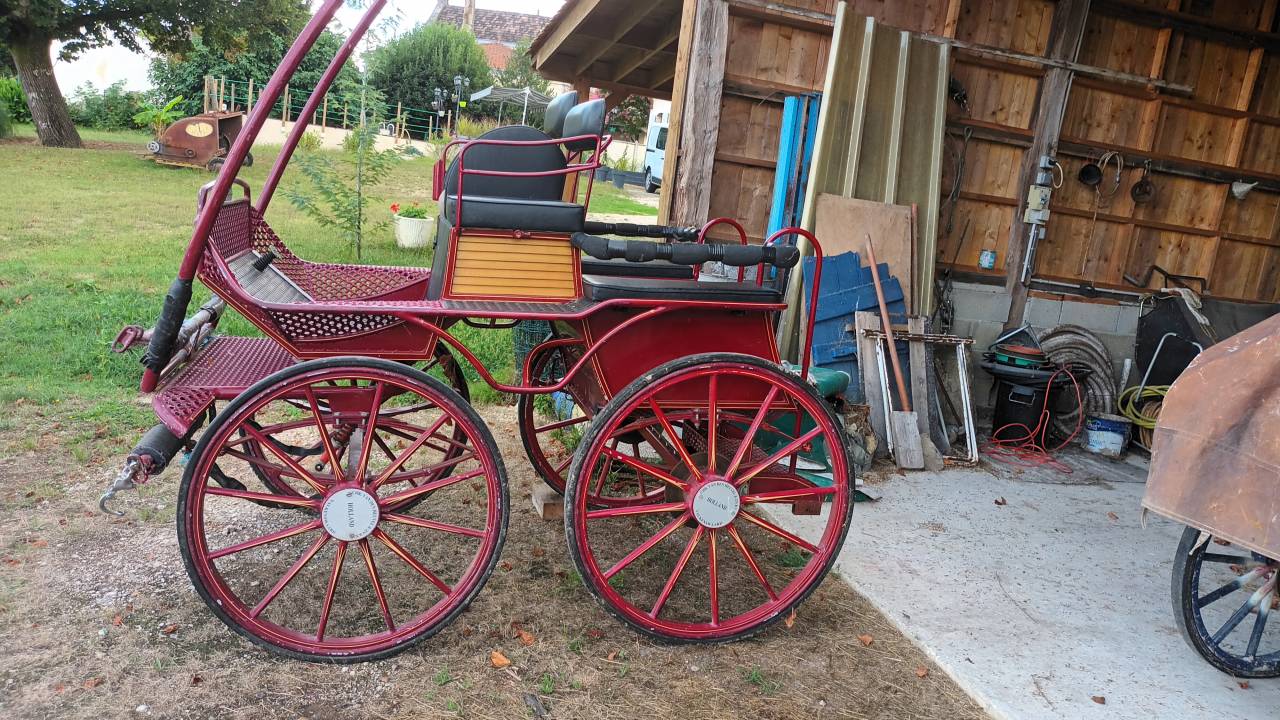 Rijtuigen - Marathon vrijetijd XX Trail SEMI MARATHON 