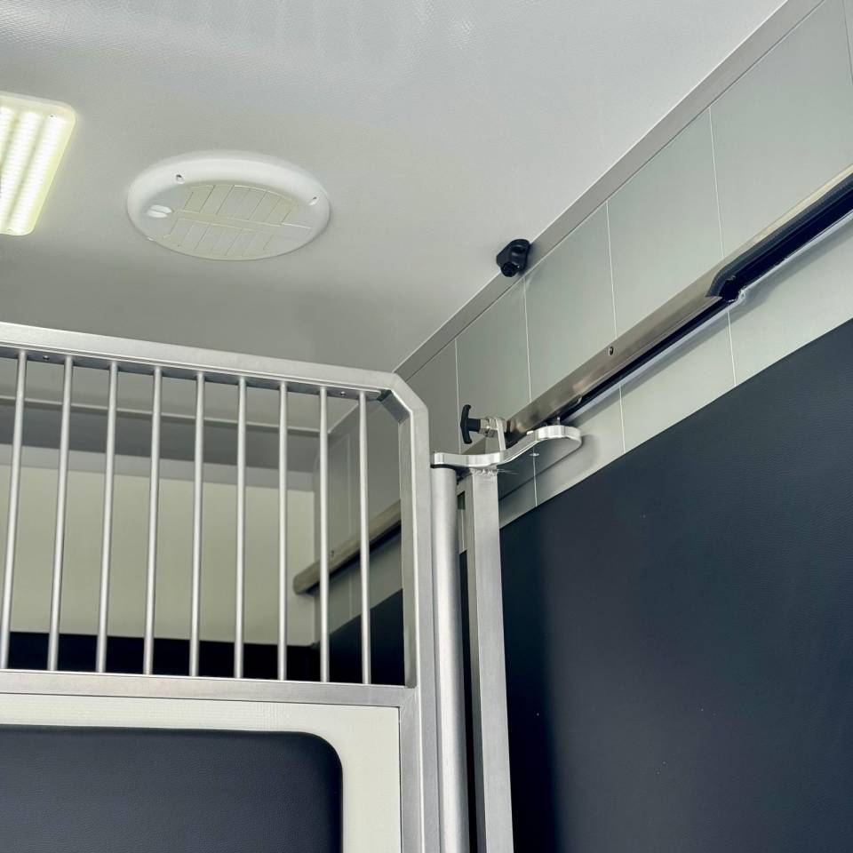 Kleine paardenvrachtwagen (B rijbewijs) AKX CONCEPTPGO 5  2026 Nieuw