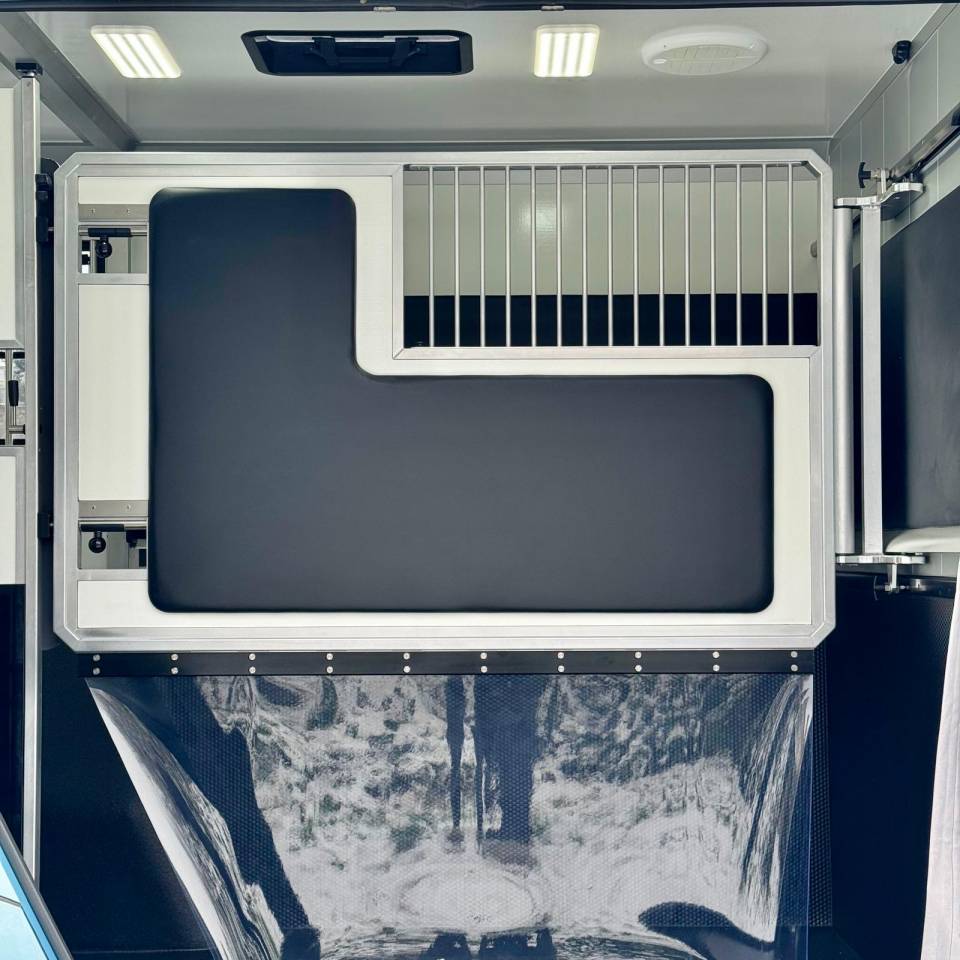 Kleine paardenvrachtwagen (B rijbewijs) AKX CONCEPTPGO 5  2026 Nieuw