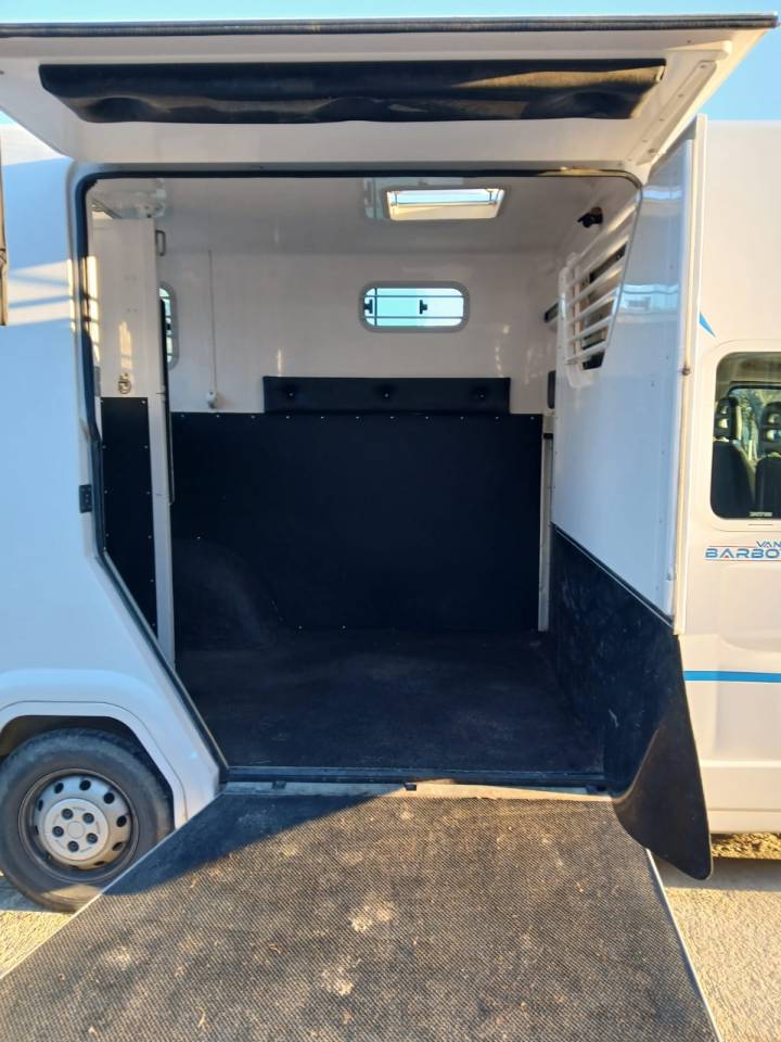 Kleine paardenvrachtwagen (B rijbewijs) Fiat  Fiat Ducato 2019 Tweedehands