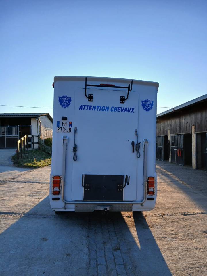 Kleine paardenvrachtwagen (B rijbewijs) Fiat  Fiat Ducato 2019 Tweedehands