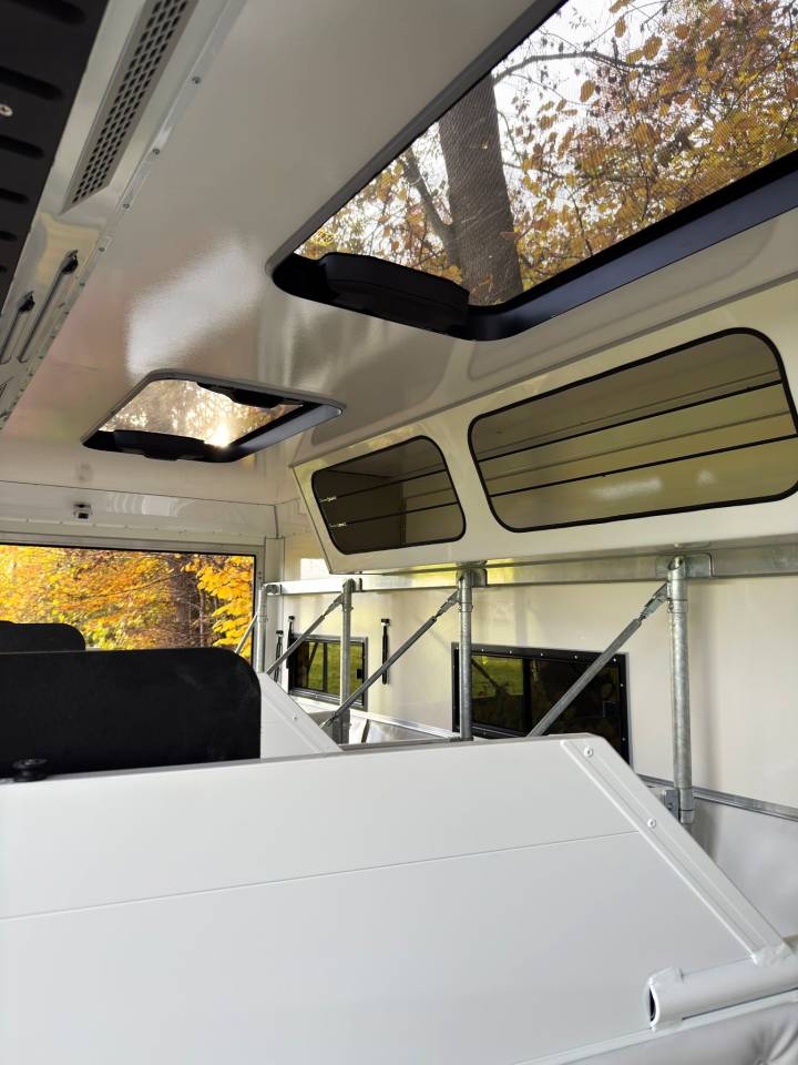 Zware paardenvrachtwagen (groot rijbewijs) Man MAN 0 Nieuw