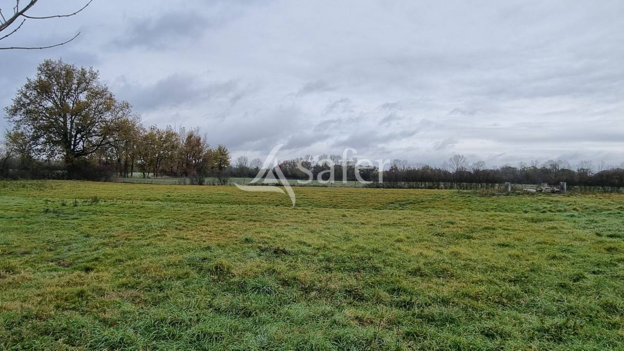 Ander plattelands vastgoed Koop tarn