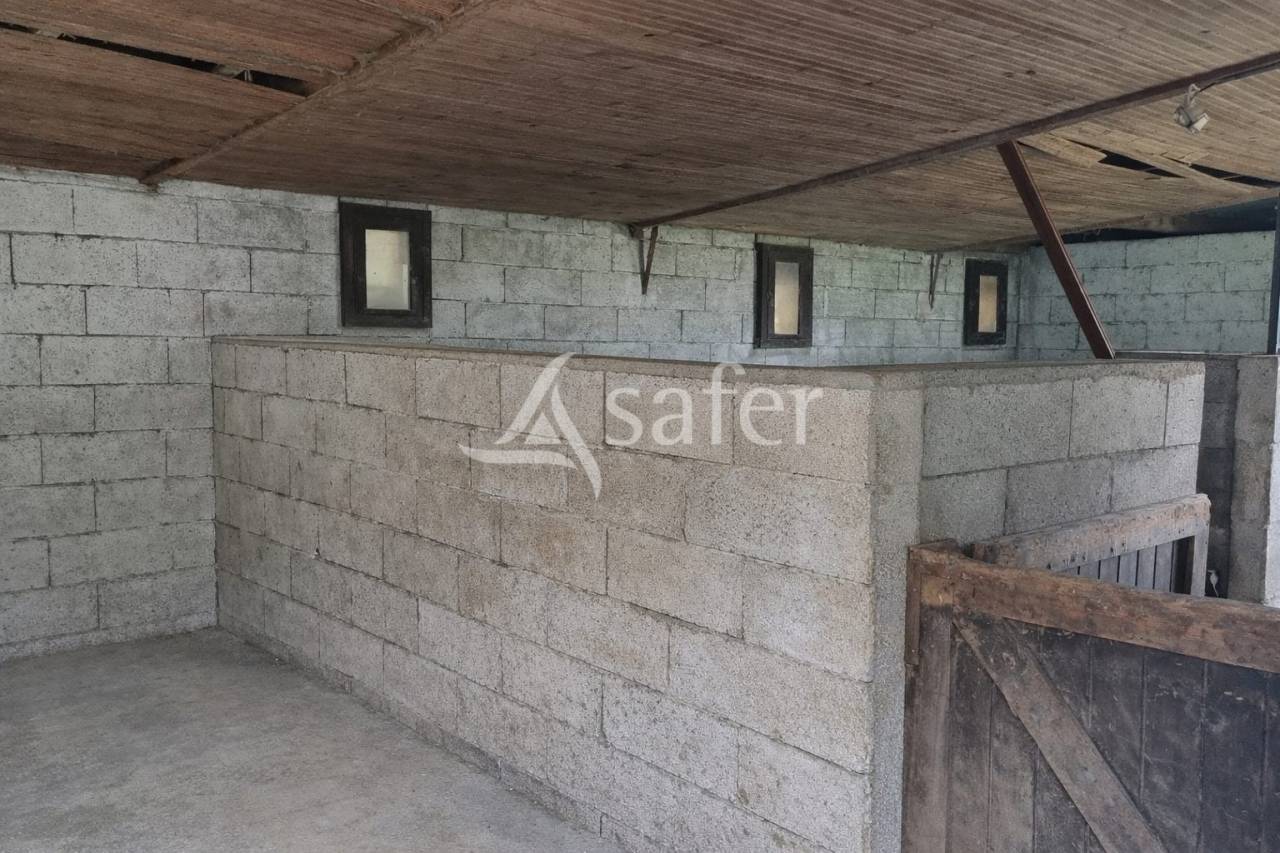 Ander plattelands vastgoed Koop tarn