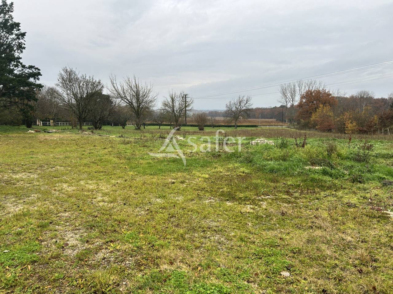 Groente exploitatie Koop Lot-et-Garonne