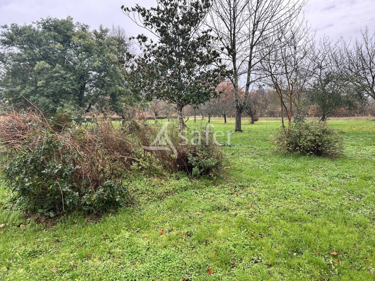 Groente exploitatie Koop Lot-et-Garonne