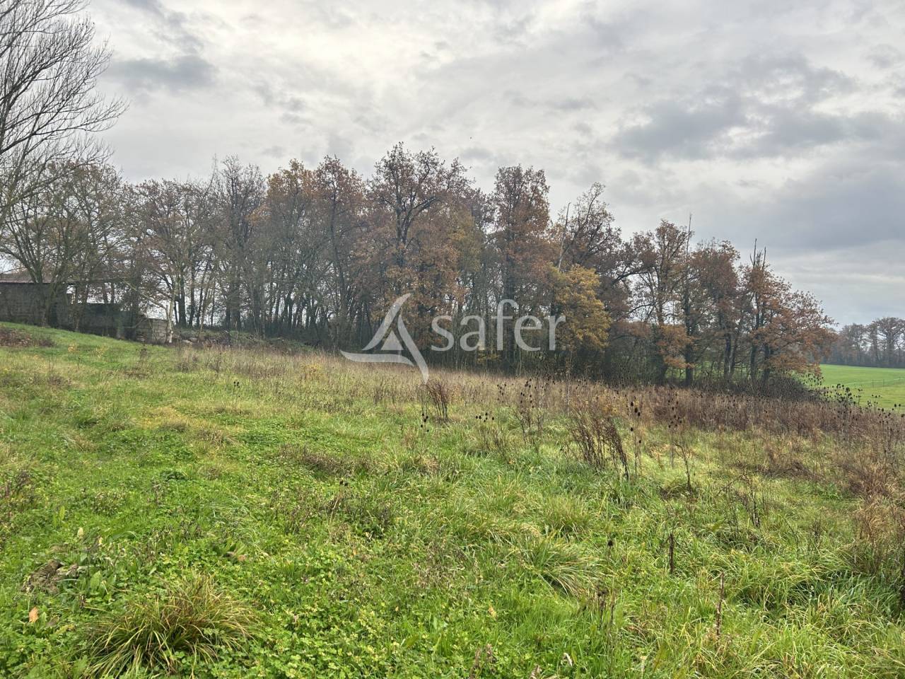 Groente exploitatie Koop Lot-et-Garonne