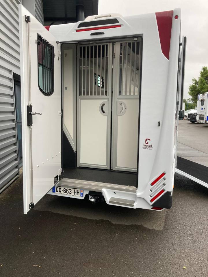 Kleine paardenvrachtwagen (B rijbewijs) Renault CAMION THEAULT 2024 Tweedehands