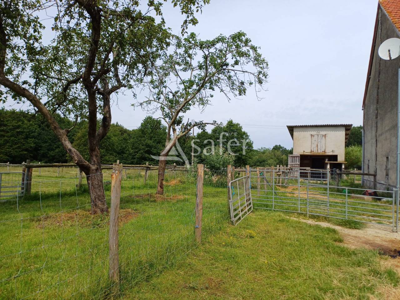 Schapen exploitatie Koop Dordogne