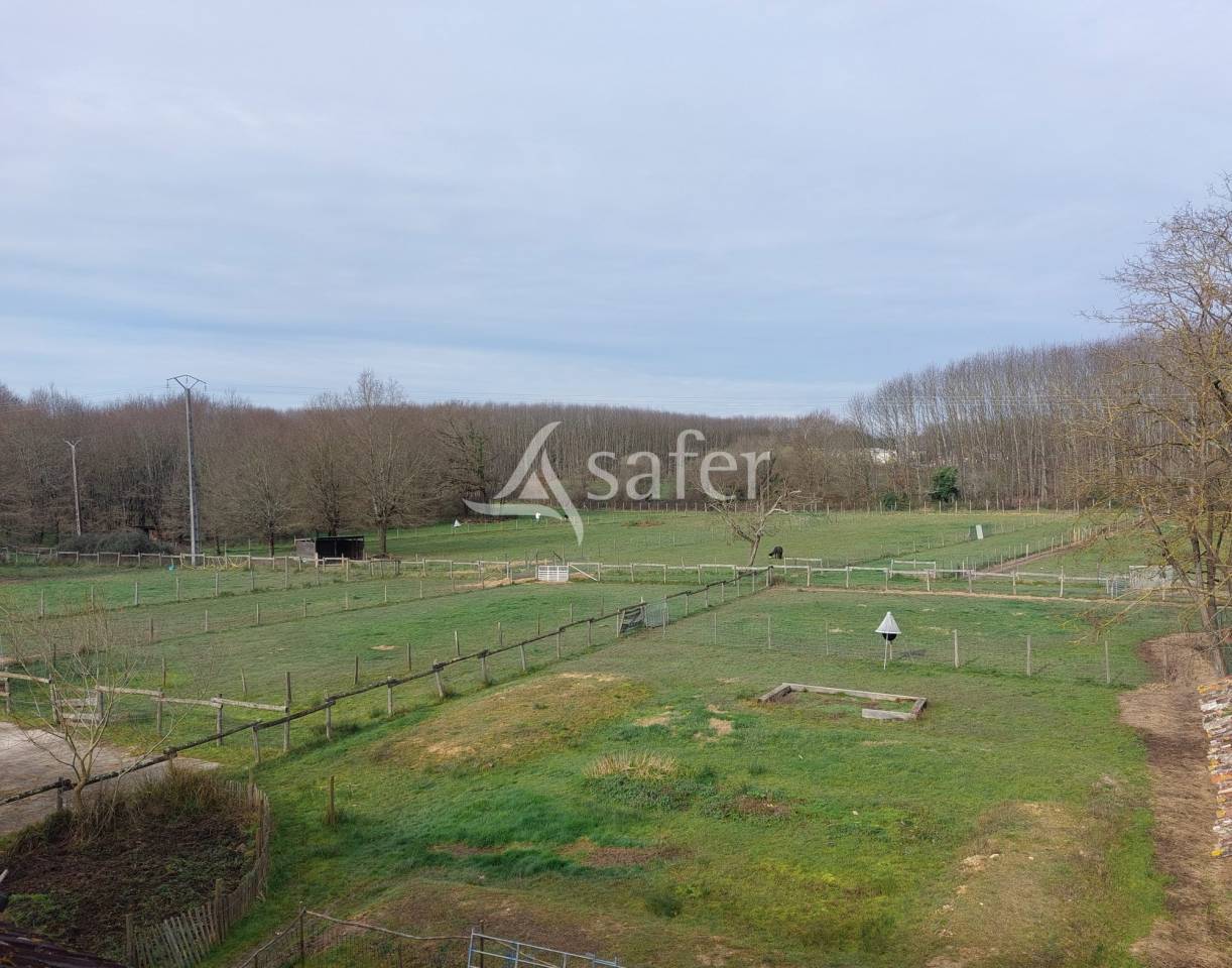 Schapen exploitatie Koop Dordogne