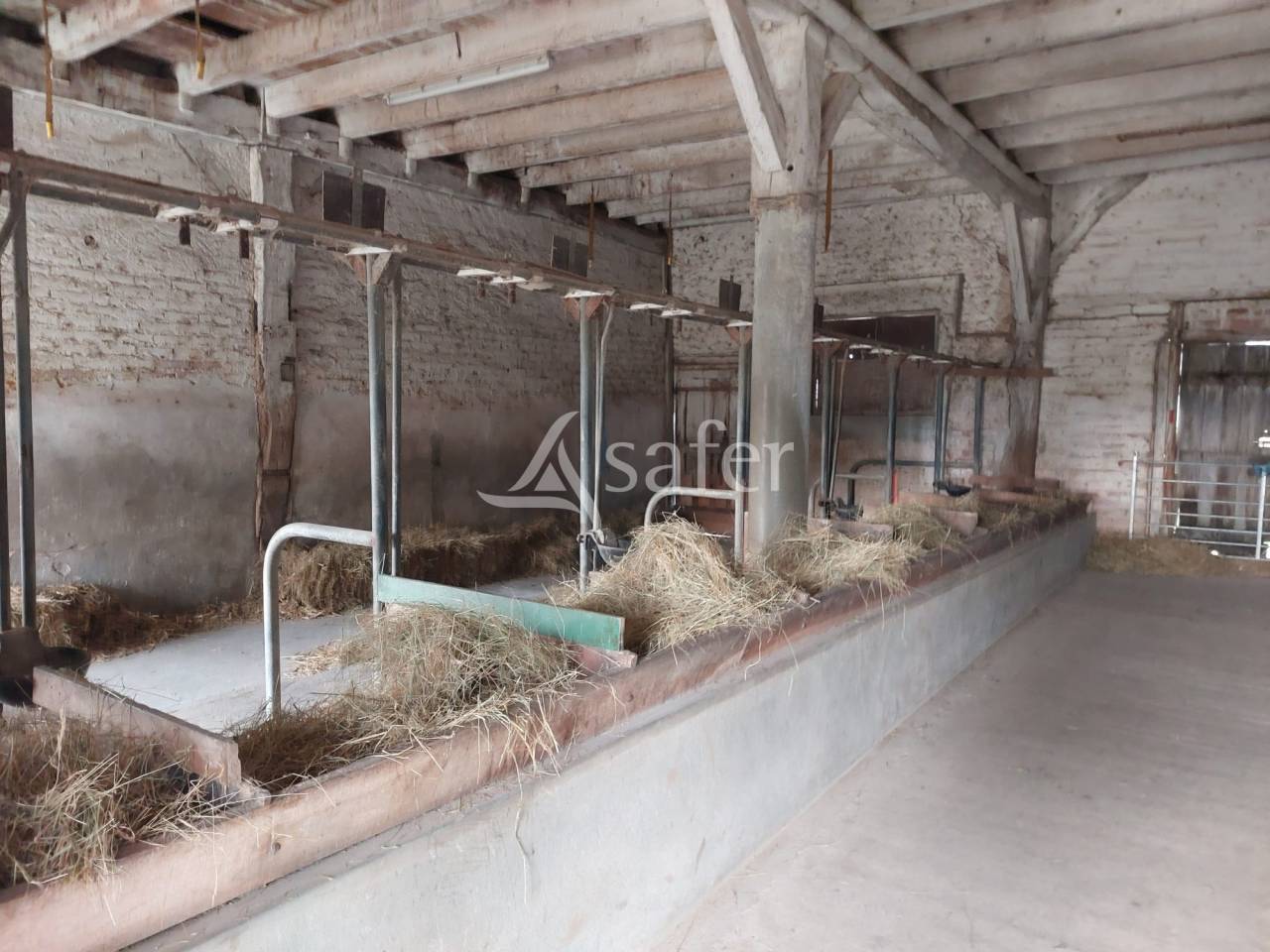 Schapen exploitatie Koop Dordogne