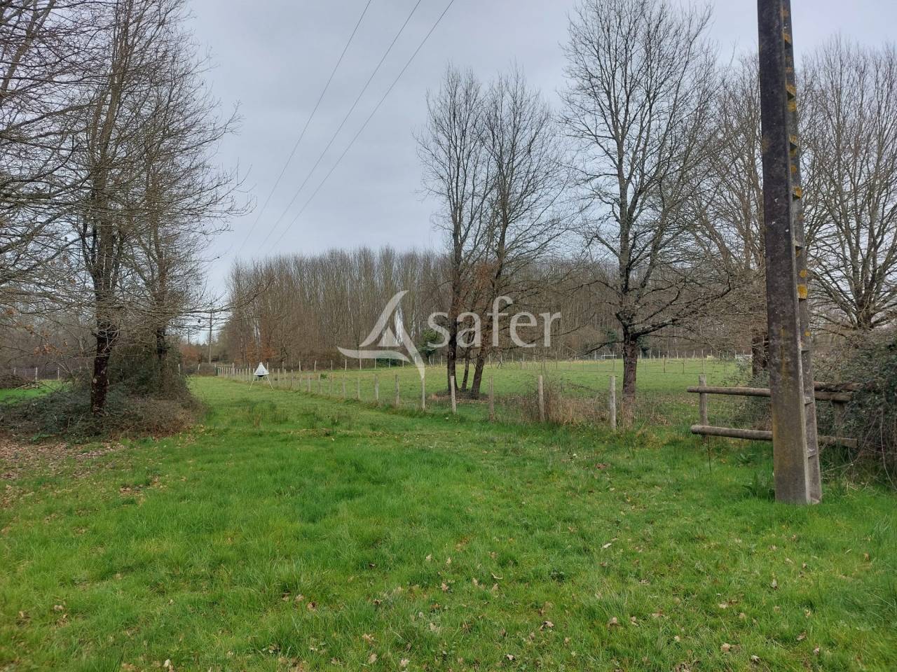 Schapen exploitatie Koop Dordogne