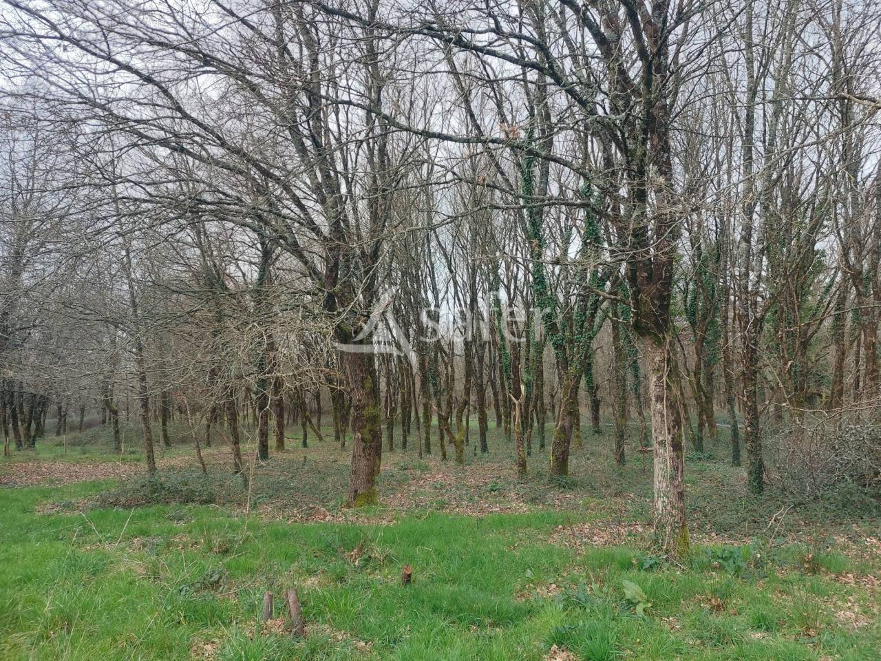 Schapen exploitatie Koop Dordogne